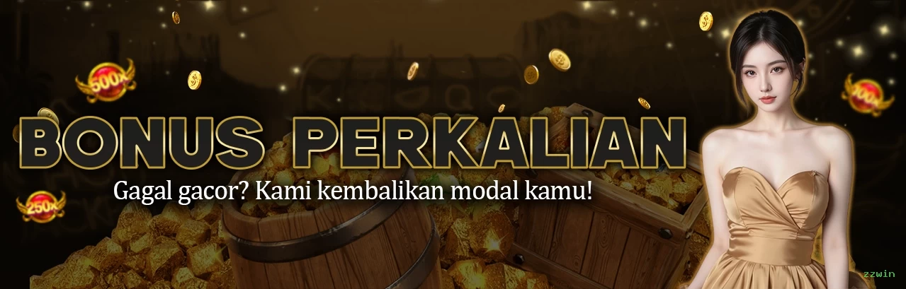 Login seguro na zzwin